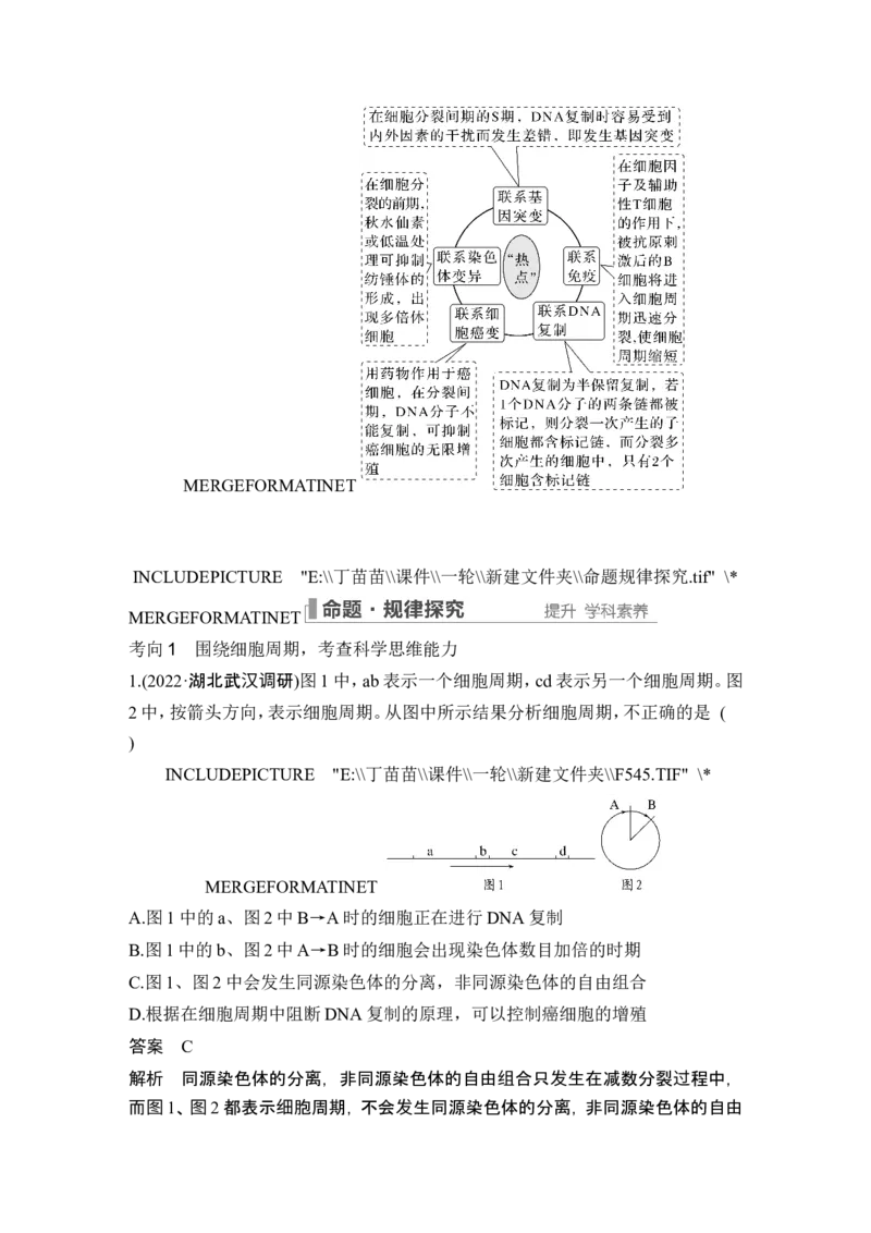 第10讲细胞的增殖_新高考复习资料_2024年新高考复习资料_一轮复习资料_完2024生物步步高大一轮复习（课件+讲义）_2024年高考生物一轮复习讲义（新人教版）_另附1套Word版题库_必修1