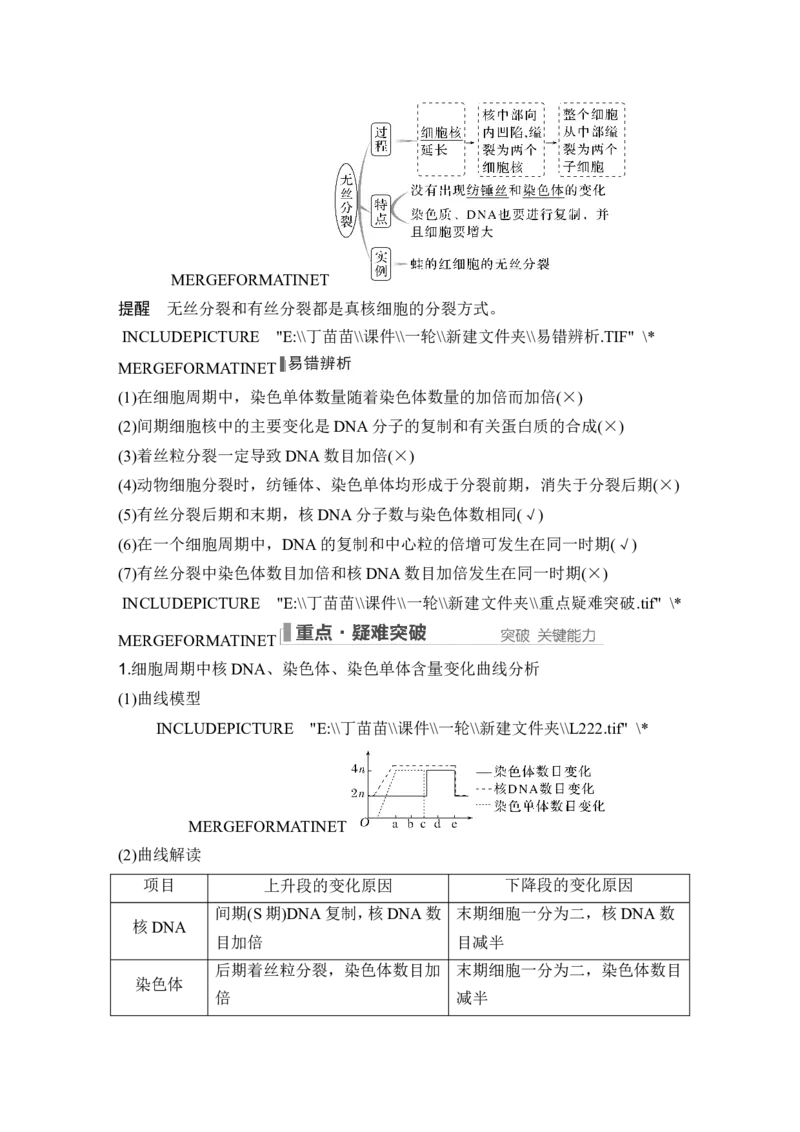 第10讲细胞的增殖_新高考复习资料_2024年新高考复习资料_一轮复习资料_完2024生物步步高大一轮复习（课件+讲义）_2024年高考生物一轮复习讲义（新人教版）_另附1套Word版题库_必修1