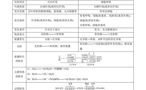 第11讲细胞代谢综合分析（讲义）（解析版）_新高考复习资料_2025年新高考资料_2025年高考生物一轮复习讲练测（新教材新高考）