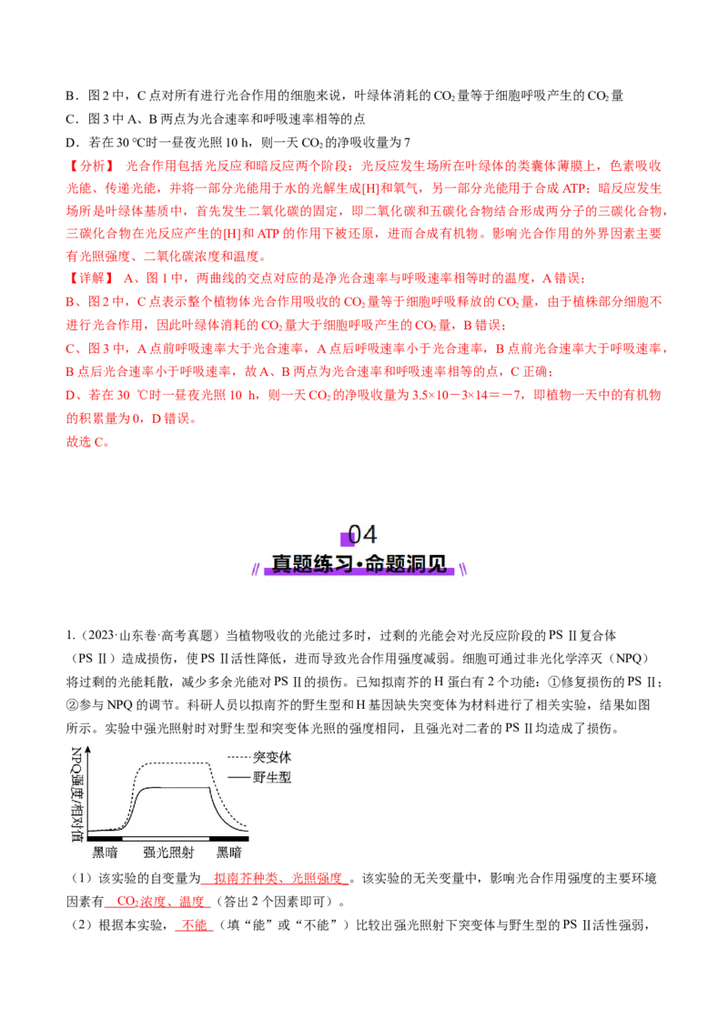 第11讲细胞代谢综合分析（讲义）（解析版）_新高考复习资料_2025年新高考资料_2025年高考生物一轮复习讲练测（新教材新高考）