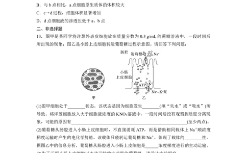 第2单元　课时练4　水进出细胞的原理_新高考复习资料_2024年新高考复习资料_一轮复习资料_完2024生物步步高大一轮复习（课件+讲义）_2024年高考生物一轮复习讲义（新人教版）