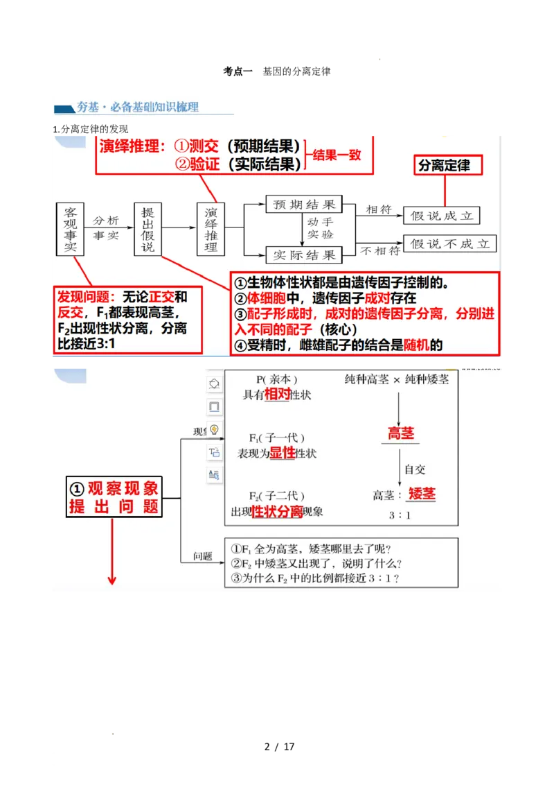 第16讲基因的分离定律（讲义）（学生版）_新高考复习资料_2024年新高考复习资料_一轮复习资料_完2024年高考生物一轮复习讲练测(课件+讲义+练习)（新高考）_讲义+练习