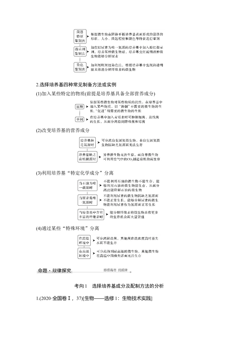 第34讲微生物的培养与应用_通用版（老高考）复习资料_2023年复习资料_一轮复习_2023年高考生物一轮复习讲义+课件（全国版）_2023年高考生物一轮复习讲义（全国版）_赠补充习题