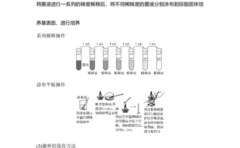 第34讲微生物的培养与应用_通用版（老高考）复习资料_2023年复习资料_一轮复习_2023年高考生物一轮复习讲义+课件（全国版）_2023年高考生物一轮复习讲义（全国版）_赠补充习题
