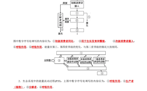 第3章生态系统及其稳定性（背诵版）_2025年新高考资料_专项复习_晨读晚默备战2025年高考生物必背知识清单_第3章生态系统及其稳定性-晨读晚默备战2025年高考生物必背知识清单