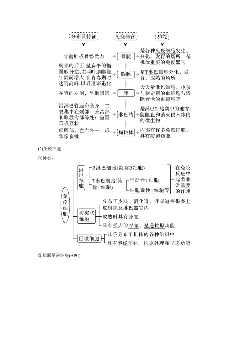 第25讲　免疫调节_新高考复习资料_2023年新高考复习资料_一轮复习_2023年新高考大一轮复习讲义_2023年高考生物一轮复习讲义（新人教新高考）_赠补充习题_Word版题库第七~十单元