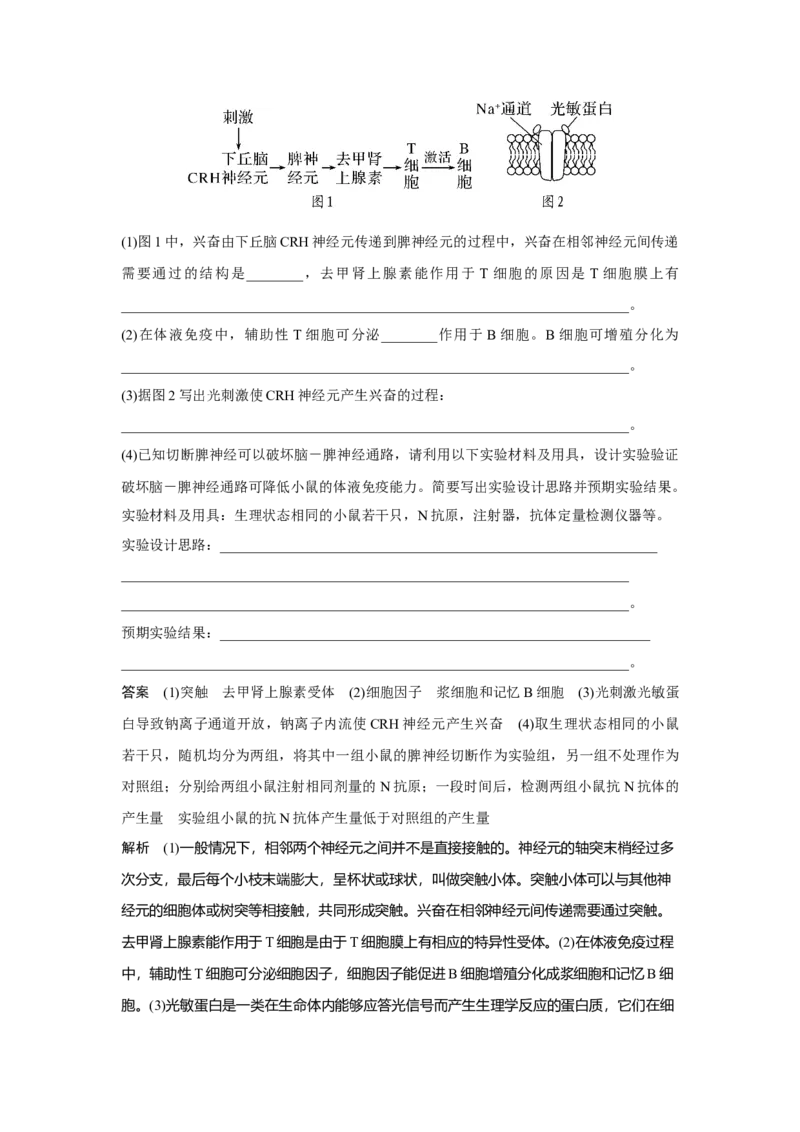 第25讲　免疫调节_新高考复习资料_2023年新高考复习资料_一轮复习_2023年新高考大一轮复习讲义_2023年高考生物一轮复习讲义（新人教新高考）_赠补充习题_Word版题库第七~十单元