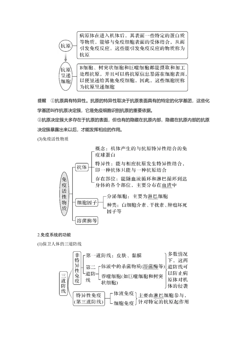 第25讲　免疫调节_新高考复习资料_2023年新高考复习资料_一轮复习_2023年新高考大一轮复习讲义_2023年高考生物一轮复习讲义（新人教新高考）_赠补充习题_Word版题库第七~十单元