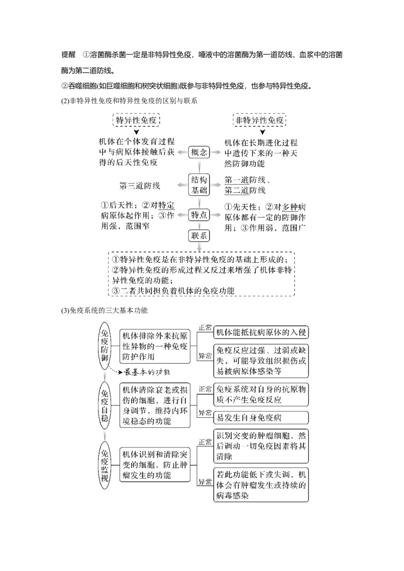 第25讲　免疫调节_新高考复习资料_2023年新高考复习资料_一轮复习_2023年新高考大一轮复习讲义_2023年高考生物一轮复习讲义（新人教新高考）_赠补充习题_Word版题库第七~十单元