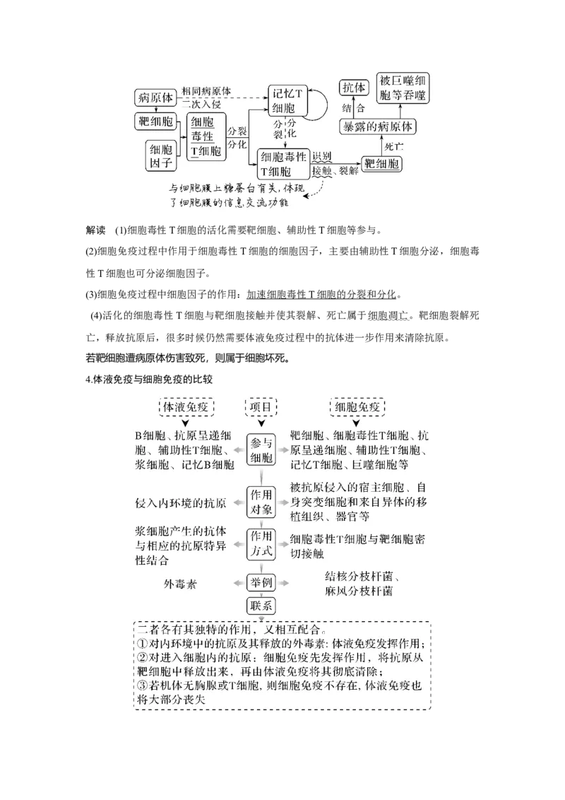 第25讲　免疫调节_新高考复习资料_2023年新高考复习资料_一轮复习_2023年新高考大一轮复习讲义_2023年高考生物一轮复习讲义（新人教新高考）_赠补充习题_Word版题库第七~十单元