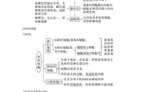 第25讲　免疫调节_新高考复习资料_2023年新高考复习资料_一轮复习_2023年新高考大一轮复习讲义_2023年高考生物一轮复习讲义（新人教新高考）_赠补充习题_Word版题库第七~十单元
