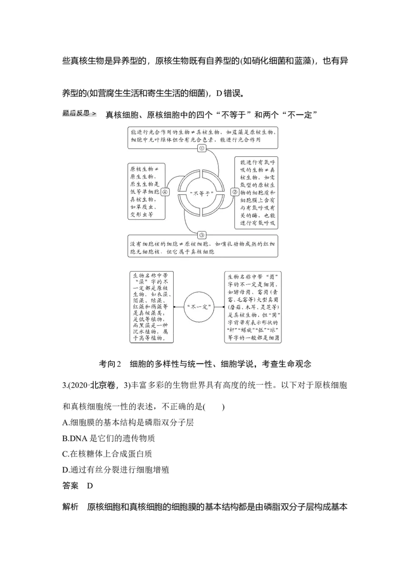 第1讲借助显微镜走近细胞_通用版（老高考）复习资料_2023年复习资料_一轮复习_2023年高考生物一轮复习讲义+课件（全国版）_2023年高考生物一轮复习讲义（全国版）_赠补充习题