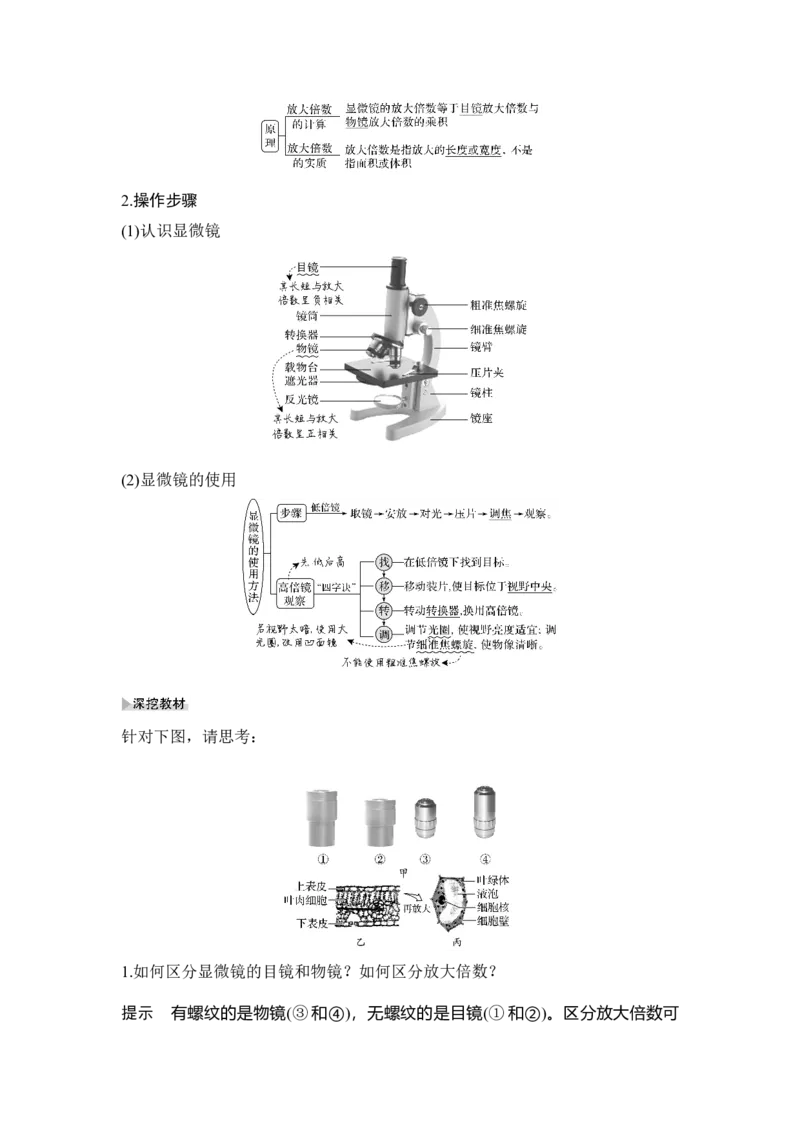 第1讲借助显微镜走近细胞_通用版（老高考）复习资料_2023年复习资料_一轮复习_2023年高考生物一轮复习讲义+课件（全国版）_2023年高考生物一轮复习讲义（全国版）_赠补充习题