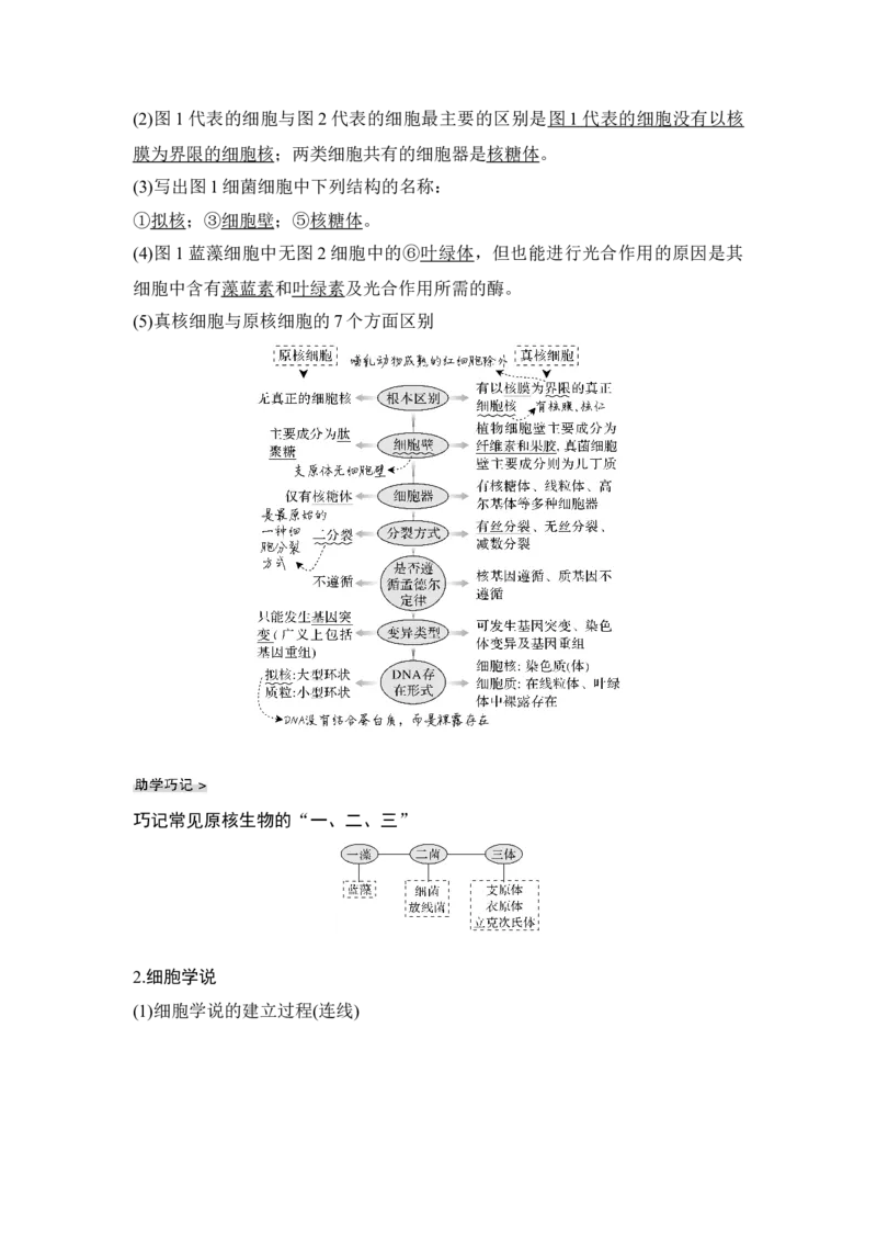 第1讲借助显微镜走近细胞_通用版（老高考）复习资料_2023年复习资料_一轮复习_2023年高考生物一轮复习讲义+课件（全国版）_2023年高考生物一轮复习讲义（全国版）_赠补充习题