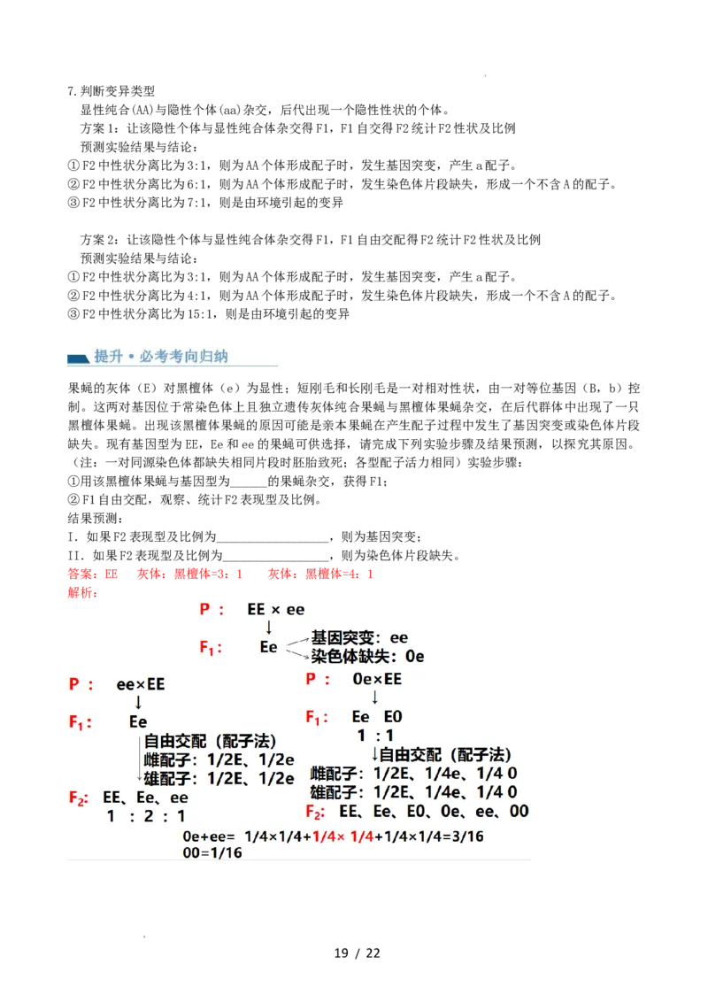第16讲基因的分离定律（讲义）（教师版）_新高考复习资料_2024年新高考复习资料_一轮复习资料_完2024年高考生物一轮复习讲练测(课件+讲义+练习)（新高考）_讲义+练习