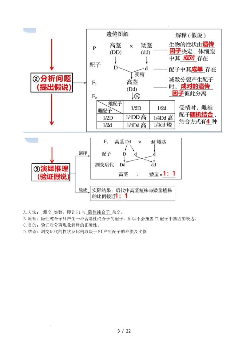 第16讲基因的分离定律（讲义）（教师版）_新高考复习资料_2024年新高考复习资料_一轮复习资料_完2024年高考生物一轮复习讲练测(课件+讲义+练习)（新高考）_讲义+练习