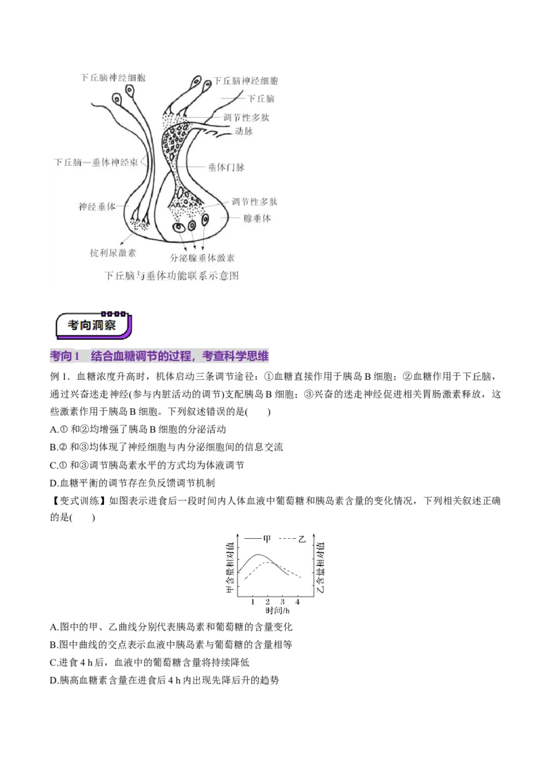 第26讲体液调节（讲义）（原卷版）_2025年新高考资料_一轮复习_2025年高考生物一轮复习讲练测（新教材新高考）