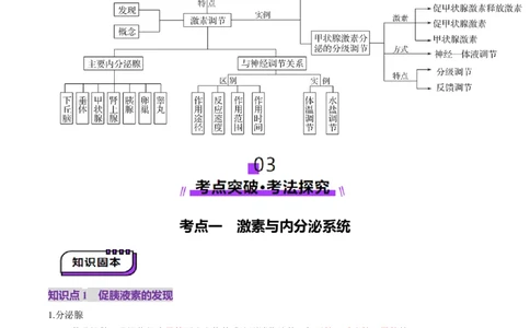 第26讲体液调节（讲义）（原卷版）_2025年新高考资料_一轮复习_2025年高考生物一轮复习讲练测（新教材新高考）