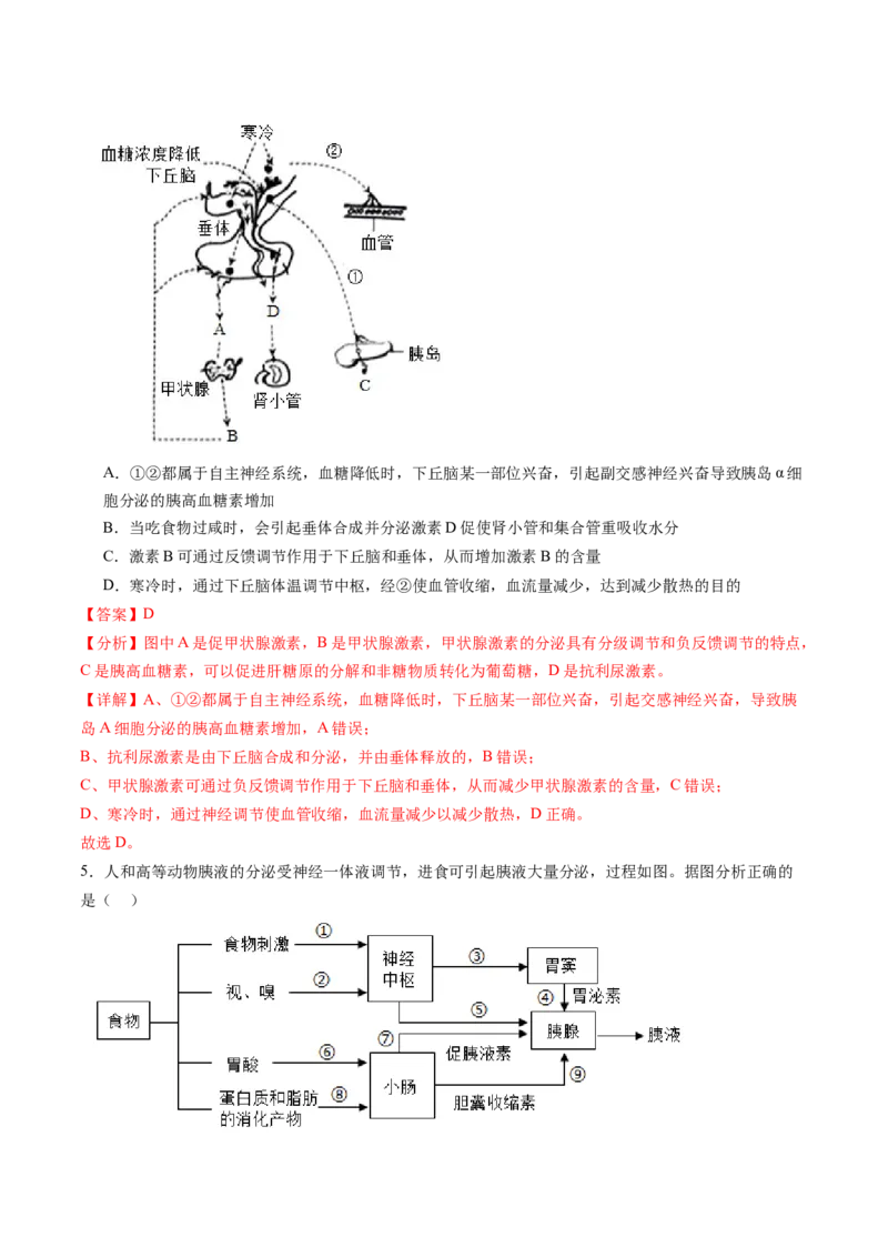 第31讲动物生命活动调节的综合分析（练习）（解析版）_新高考复习资料_2024年新高考复习资料_一轮复习资料_完2024年高考生物一轮复习讲练测(课件+讲义+练习)（新高考）_讲义+练习