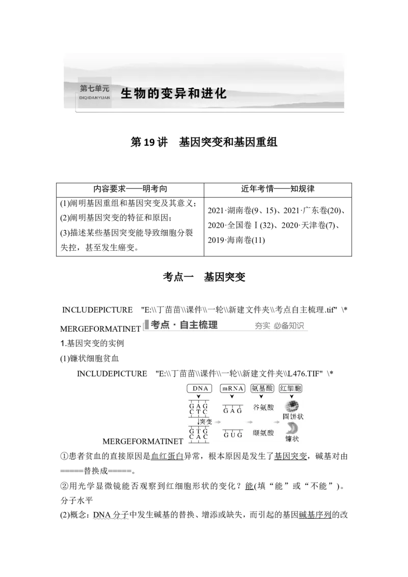 第19讲基因突变和基因重组_新高考复习资料_2024年新高考复习资料_一轮复习资料_完2024生物步步高大一轮复习（课件+讲义）_2024年高考生物一轮复习讲义（新人教版）_另附1套Word版题库