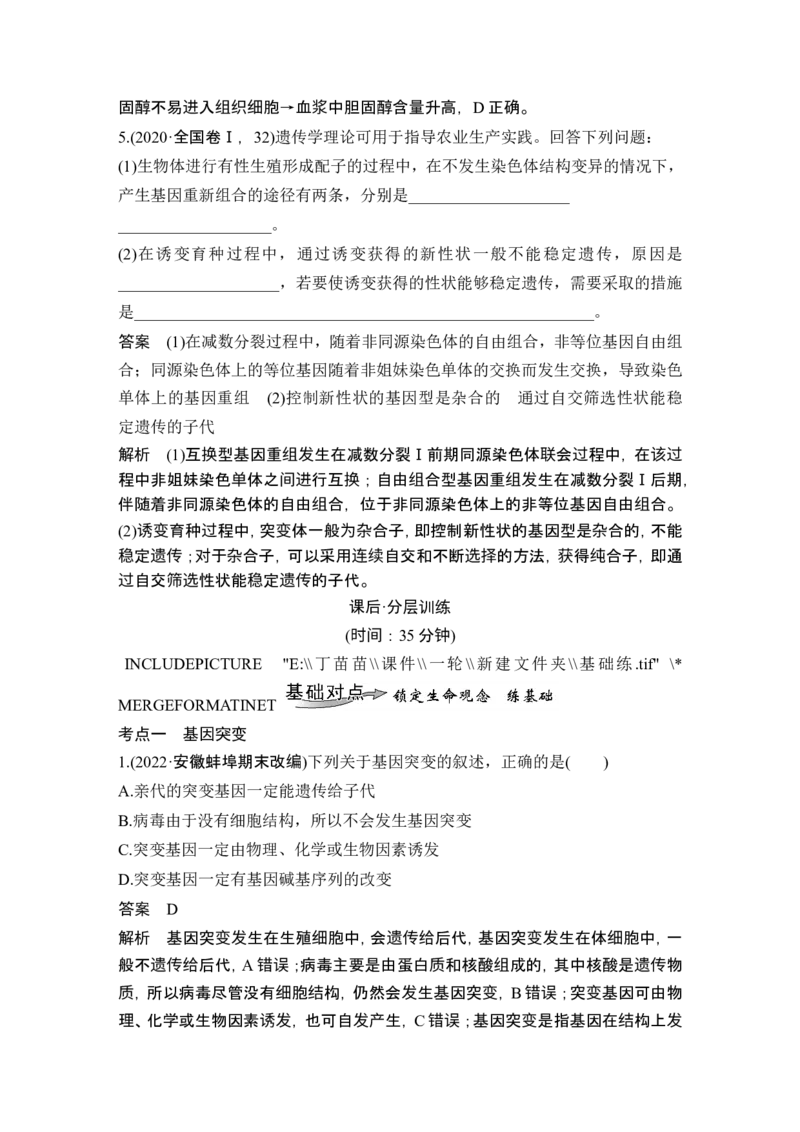 第19讲基因突变和基因重组_新高考复习资料_2024年新高考复习资料_一轮复习资料_完2024生物步步高大一轮复习（课件+讲义）_2024年高考生物一轮复习讲义（新人教版）_另附1套Word版题库