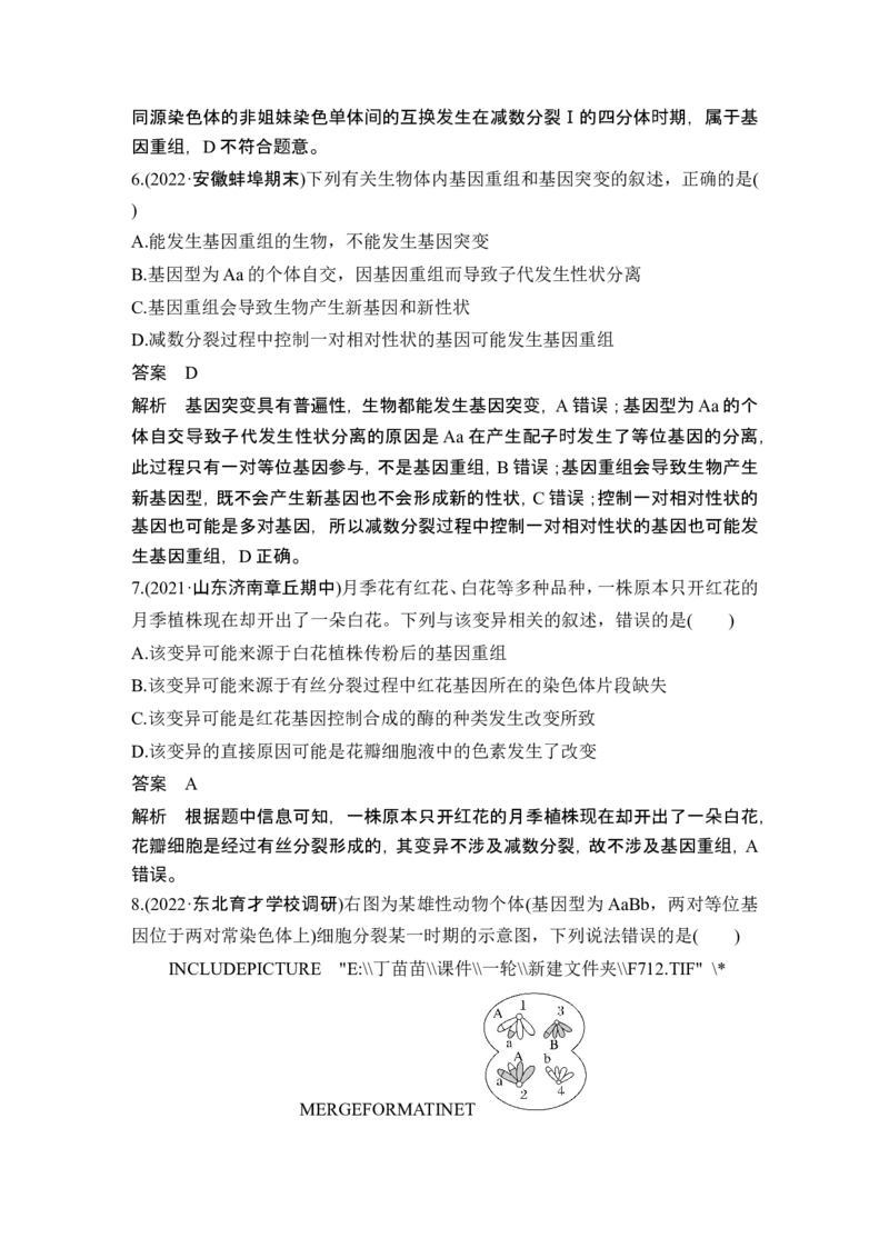 第19讲基因突变和基因重组_新高考复习资料_2024年新高考复习资料_一轮复习资料_完2024生物步步高大一轮复习（课件+讲义）_2024年高考生物一轮复习讲义（新人教版）_另附1套Word版题库