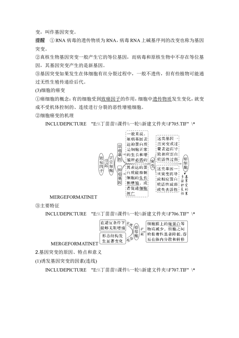 第19讲基因突变和基因重组_新高考复习资料_2024年新高考复习资料_一轮复习资料_完2024生物步步高大一轮复习（课件+讲义）_2024年高考生物一轮复习讲义（新人教版）_另附1套Word版题库