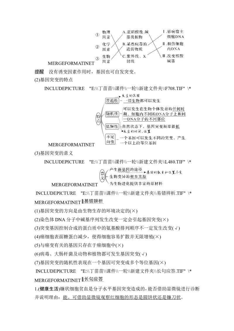 第19讲基因突变和基因重组_新高考复习资料_2024年新高考复习资料_一轮复习资料_完2024生物步步高大一轮复习（课件+讲义）_2024年高考生物一轮复习讲义（新人教版）_另附1套Word版题库