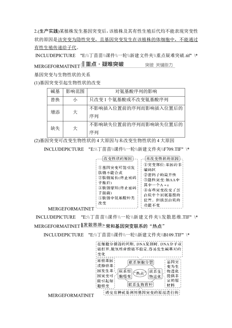 第19讲基因突变和基因重组_新高考复习资料_2024年新高考复习资料_一轮复习资料_完2024生物步步高大一轮复习（课件+讲义）_2024年高考生物一轮复习讲义（新人教版）_另附1套Word版题库