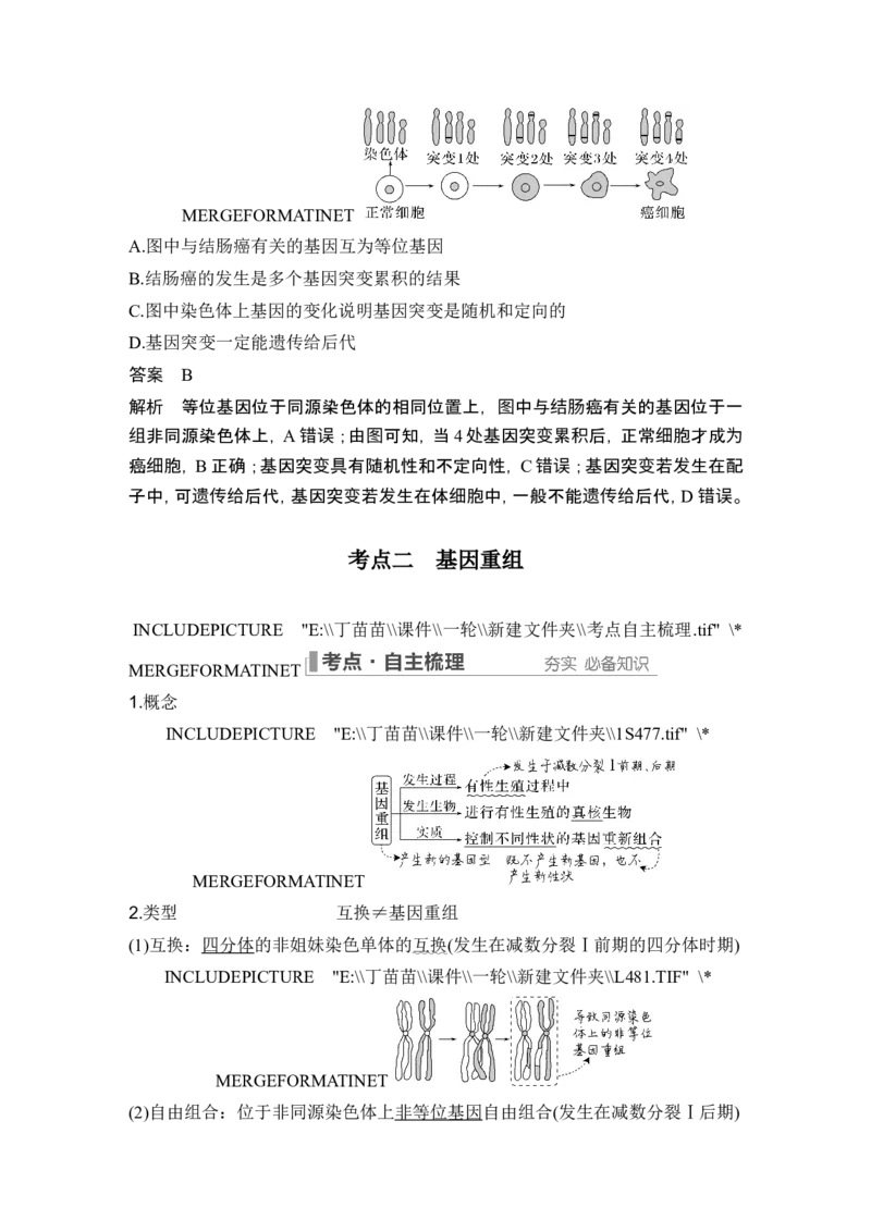 第19讲基因突变和基因重组_新高考复习资料_2024年新高考复习资料_一轮复习资料_完2024生物步步高大一轮复习（课件+讲义）_2024年高考生物一轮复习讲义（新人教版）_另附1套Word版题库