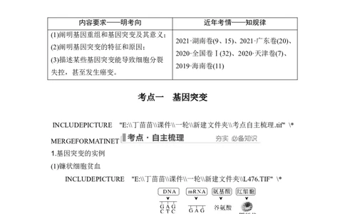 第19讲基因突变和基因重组_新高考复习资料_2024年新高考复习资料_一轮复习资料_完2024生物步步高大一轮复习（课件+讲义）_2024年高考生物一轮复习讲义（新人教版）_另附1套Word版题库