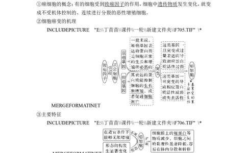 第19讲基因突变和基因重组_新高考复习资料_2024年新高考复习资料_一轮复习资料_完2024生物步步高大一轮复习（课件+讲义）_2024年高考生物一轮复习讲义（新人教版）_另附1套Word版题库
