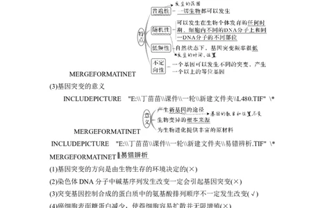 第19讲基因突变和基因重组_新高考复习资料_2024年新高考复习资料_一轮复习资料_完2024生物步步高大一轮复习（课件+讲义）_2024年高考生物一轮复习讲义（新人教版）_另附1套Word版题库