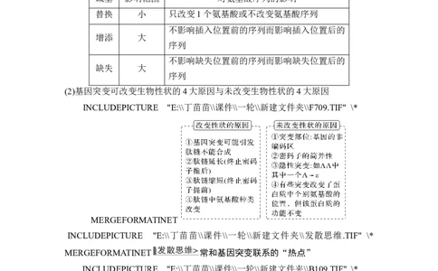 第19讲基因突变和基因重组_新高考复习资料_2024年新高考复习资料_一轮复习资料_完2024生物步步高大一轮复习（课件+讲义）_2024年高考生物一轮复习讲义（新人教版）_另附1套Word版题库