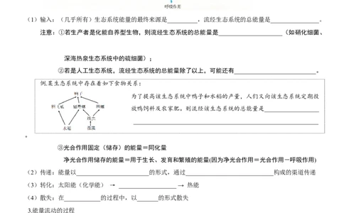 第46讲生态系统的能量流动（知识清单）_新高考复习资料_2025年新高考资料_备战2025年高考生物一轮复习课件+知识清单