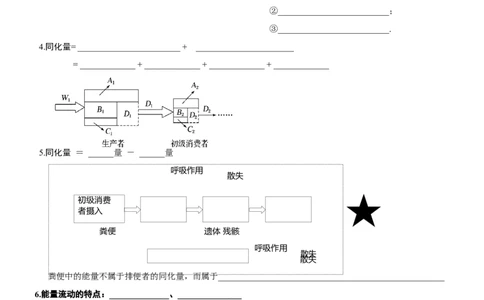 第46讲生态系统的能量流动（知识清单）_新高考复习资料_2025年新高考资料_备战2025年高考生物一轮复习课件+知识清单