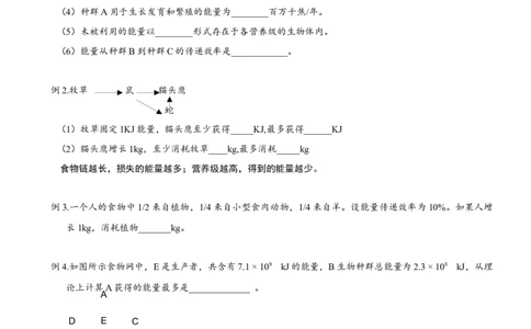 第46讲生态系统的能量流动（知识清单）_新高考复习资料_2025年新高考资料_备战2025年高考生物一轮复习课件+知识清单