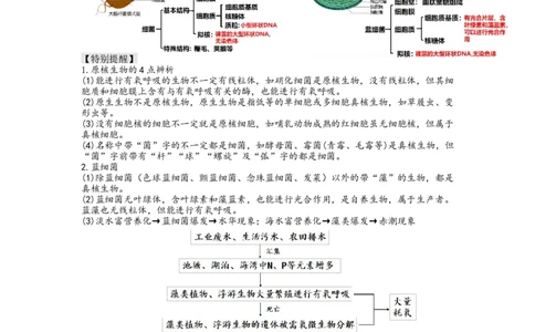 第1讲走近细胞（讲义）（教师版）_新高考复习资料_2024年新高考复习资料_一轮复习资料_完2024年高考生物一轮复习讲练测(课件+讲义+练习)（新高考）_讲义+练习