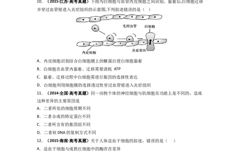 第18讲细胞的分化-精准备考备战2023年高考生物一轮复习精品讲义（生物学必修1）（原卷版）_通用版（老高考）复习资料_2023年复习资料_一轮复习