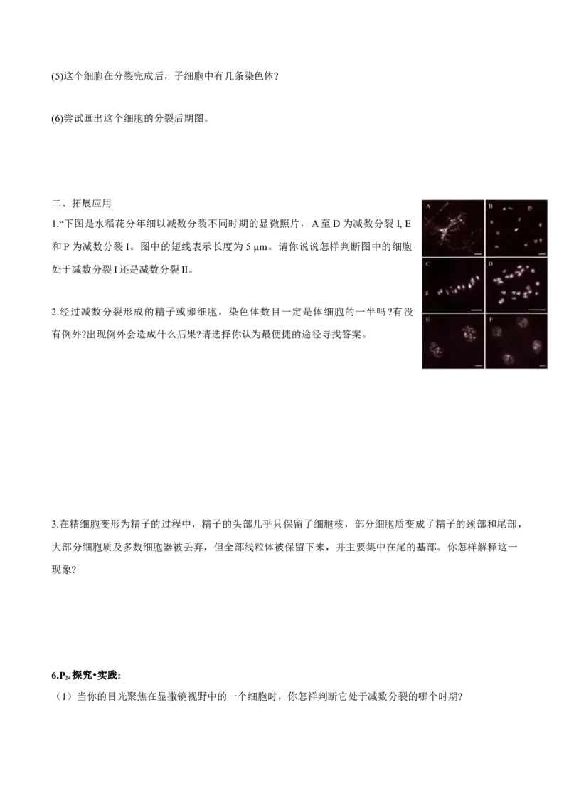 第2章基因和染色体的关系-查漏补缺2023年高考生物一轮复习教材必背细节与旁栏思考梳理汇总（新教材）（学生版）_新高考复习资料_2023年新高考复习资料_一轮复习