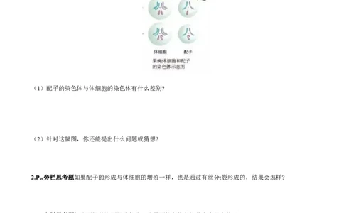 第2章基因和染色体的关系-查漏补缺2023年高考生物一轮复习教材必背细节与旁栏思考梳理汇总（新教材）（学生版）_新高考复习资料_2023年新高考复习资料_一轮复习