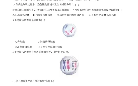 第2章基因和染色体的关系-查漏补缺2023年高考生物一轮复习教材必背细节与旁栏思考梳理汇总（新教材）（学生版）_新高考复习资料_2023年新高考复习资料_一轮复习