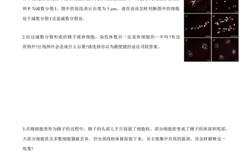 第2章基因和染色体的关系-查漏补缺2023年高考生物一轮复习教材必背细节与旁栏思考梳理汇总（新教材）（学生版）_新高考复习资料_2023年新高考复习资料_一轮复习