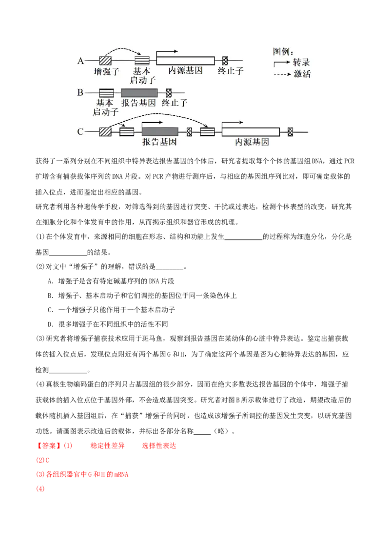 第18讲+基因工程（专项训练，4大题型）（解析版）_2025年新高考资料_二轮复习_01高考语文等多个文件_上好课2025年高考生物二轮复习讲练测（新高考通用）