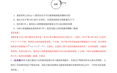 第18讲+基因工程（专项训练，4大题型）（解析版）_2025年新高考资料_二轮复习_01高考语文等多个文件_上好课2025年高考生物二轮复习讲练测（新高考通用）