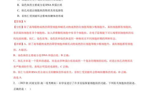 第3讲细胞核的结构和功能（解析版）_通用版（老高考）复习资料_2024年复习资料_完备战2024年高考生物一轮复习考点帮（全国通用）_专题三细胞的基本结构和物质的运输