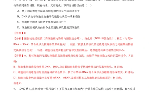 第3讲细胞核的结构和功能（解析版）_通用版（老高考）复习资料_2024年复习资料_完备战2024年高考生物一轮复习考点帮（全国通用）_专题三细胞的基本结构和物质的运输