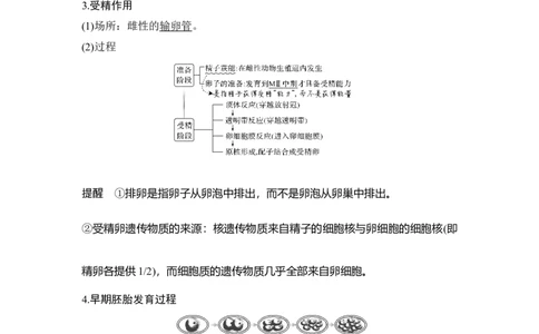 第33讲胚胎工程与生态工程(含生物技术的安全性和伦理问题)_通用版（老高考）复习资料_2023年复习资料_一轮复习_2023年高考生物一轮复习讲义+课件（全国版）_赠补充习题