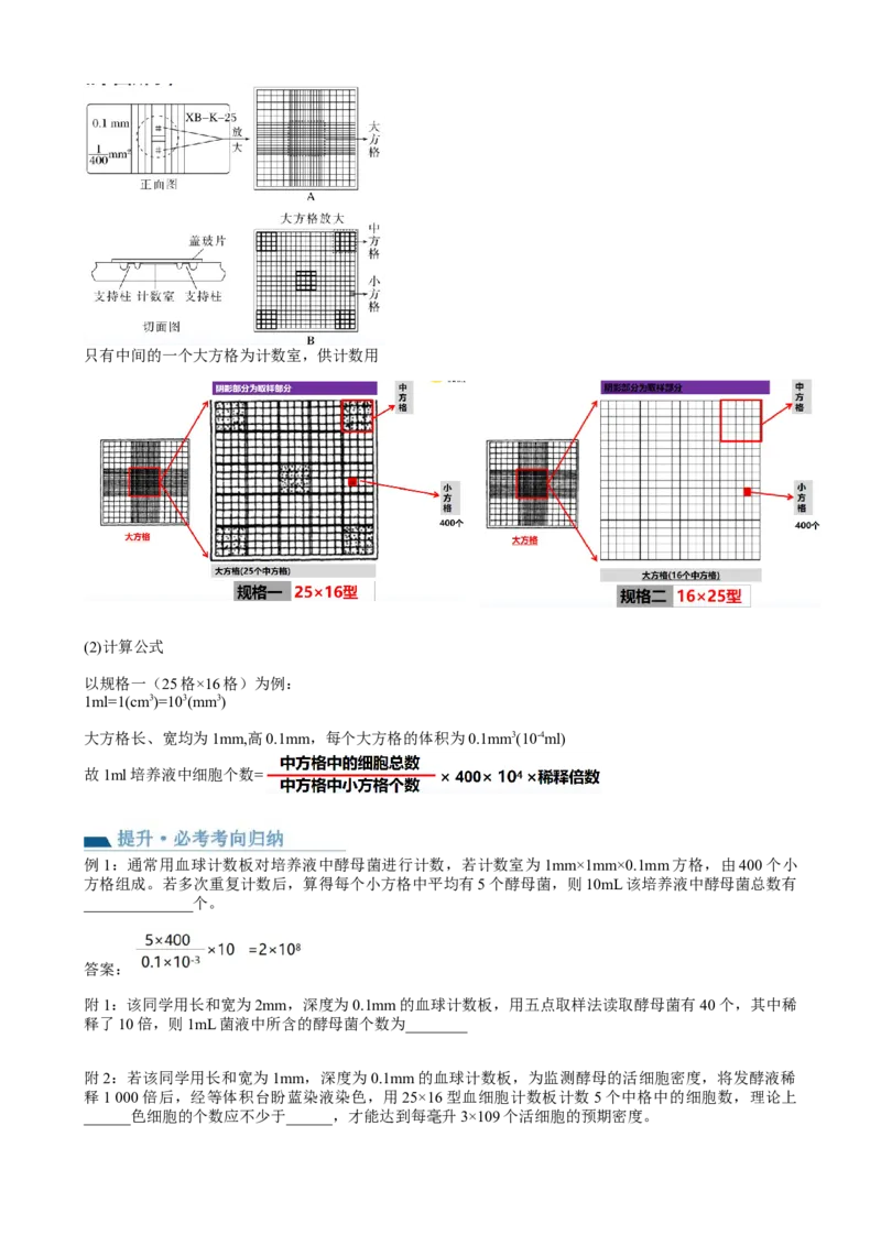 第33讲种群及其动态（讲义）（学生版）_新高考复习资料_2024年新高考复习资料_一轮复习资料_完2024年高考生物一轮复习讲练测(课件+讲义+练习)（新高考）_讲义+练习