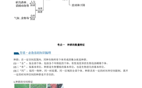 第33讲种群及其动态（讲义）（学生版）_新高考复习资料_2024年新高考复习资料_一轮复习资料_完2024年高考生物一轮复习讲练测(课件+讲义+练习)（新高考）_讲义+练习